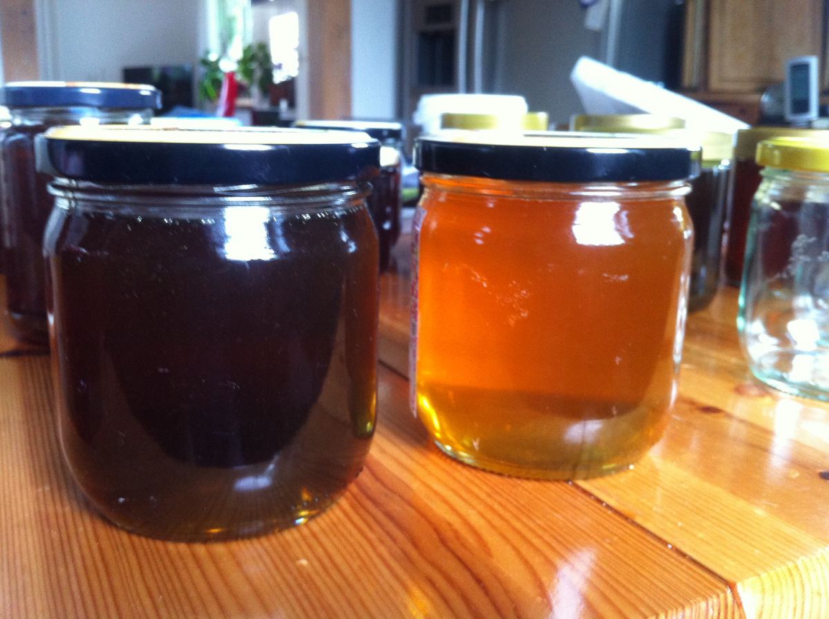 Zwei Gläser Honig, ein helles und ein dunkles